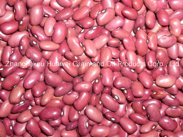 Red Kidney Bean