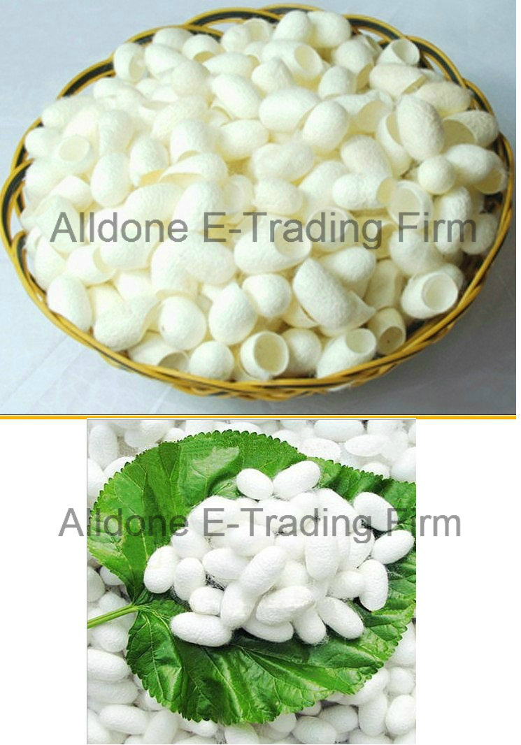 Fresh Natural Silkworm Cocoons Beauty & Healthy Skin Care