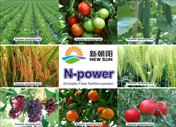 N-Power Foliar Fertilizer with Micronutrient and NPK