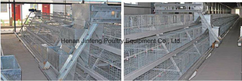 Broiler Chicken Birds Cage Frame Poultry Farm Use