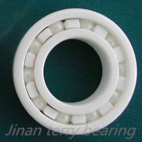 High Quality Ceramic Bearing (6302)