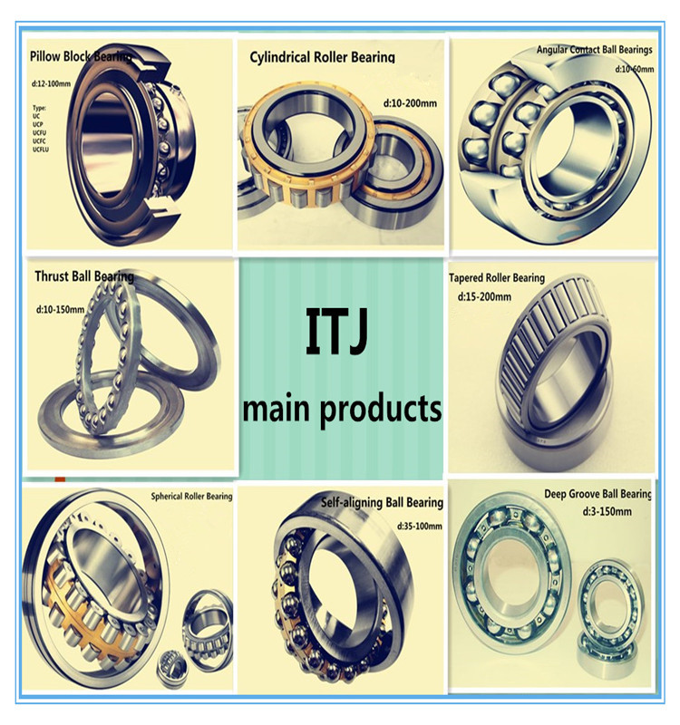 Quality Single Row/ Double Row/ Four Row Tapered Roller Bearing