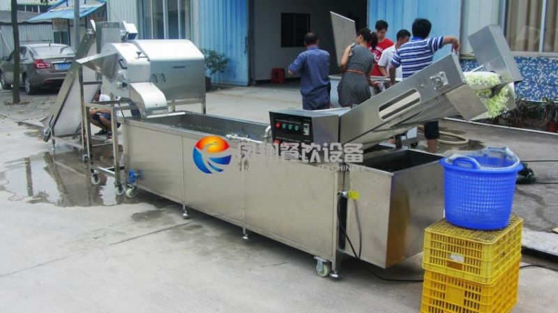 High Output Automatic Cabbage Dicing Washing Production Line