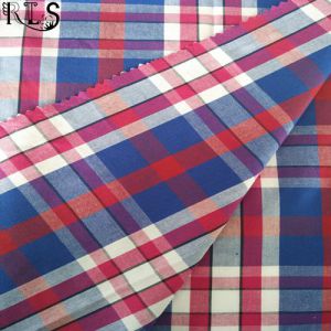 100% Cotton Poplin Woven Yarn Dyed Fabric for Shirts/Dress Rlsc40-20