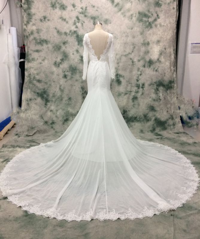 Long Sleeve Cathedral Train Chiffon Fit and Flare Wedding Dress