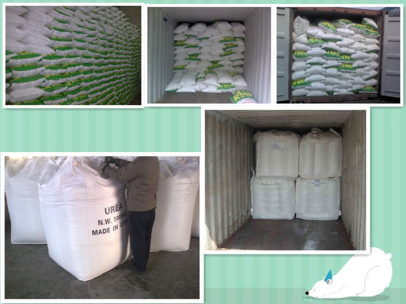 Prilled Urea (N 46 % min) with SGS Test Report