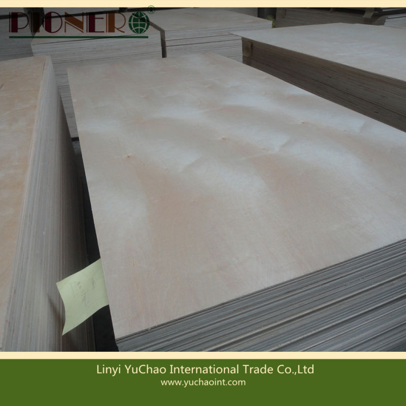 Carb Fsc Certificate White Birch Plywood for Furniture