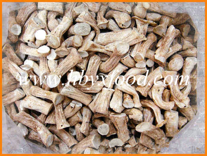 Chinese Exporter of Dried Mushroom Shiitake Leg