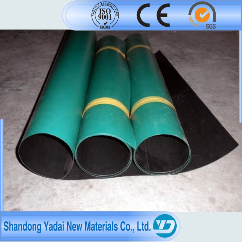 Factory's Bottom Price Geomembrane, All Kinds of Geosynthetics Supply