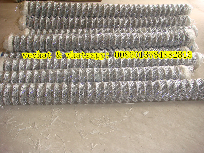 Galvanized Chain Link Fence (Factory Exporter)