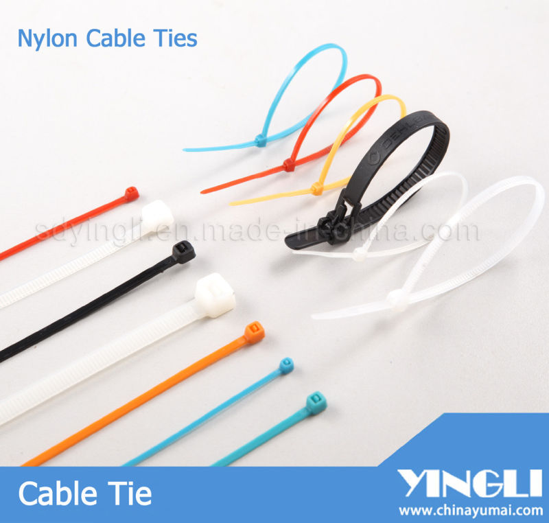 Nylon Cable Tie with RoHS Approval (2.5X100mm)