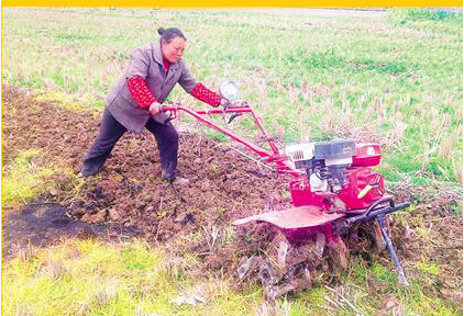 7HP Gasoline Power Tiller, Cultivator