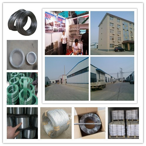 2016 Hot Sale! Black Annealed Wire (XA-AW001)