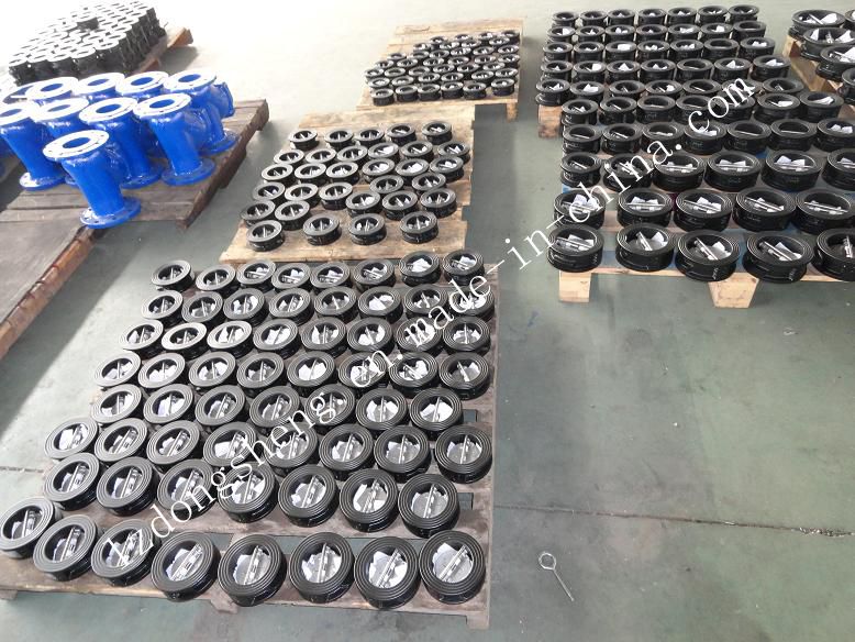 Cast Iron Wafer Type Dual Plate Check Valve