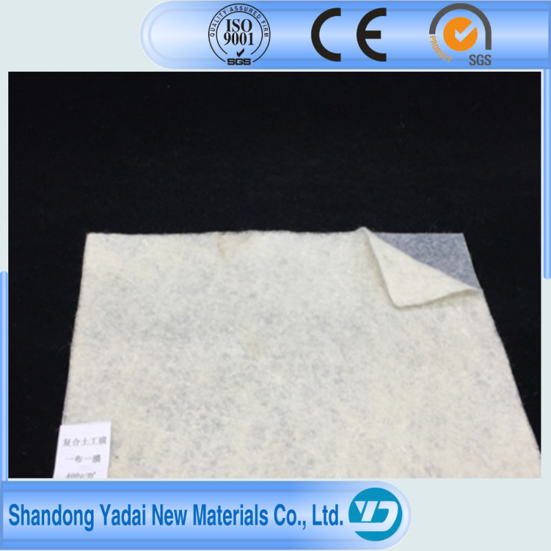 HDPE LDPE Film Fabric Geocomposite Geomembrane for Fish Pond