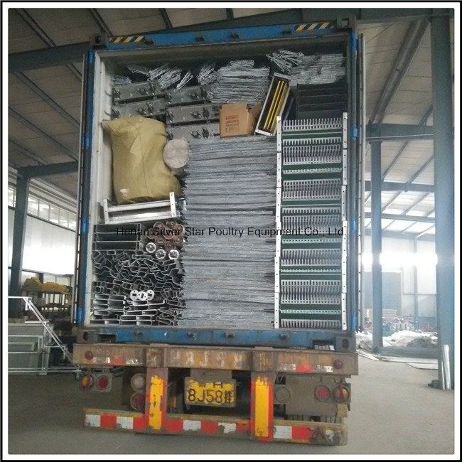 H Type Automatic Cages with Equipments