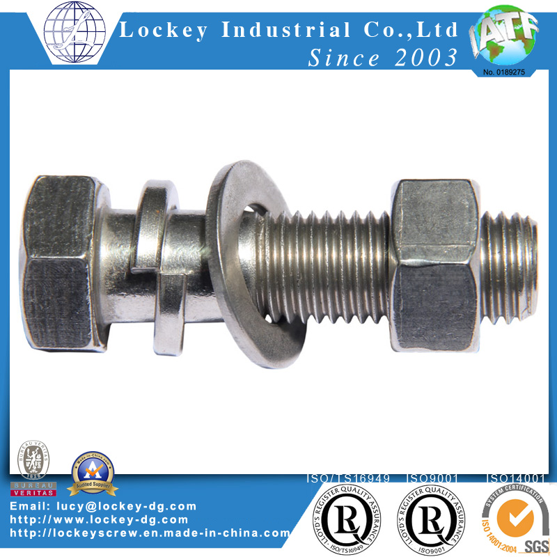 Ss316 Ss304 Hex Bolt Hex Flange Bolt Hex Screw