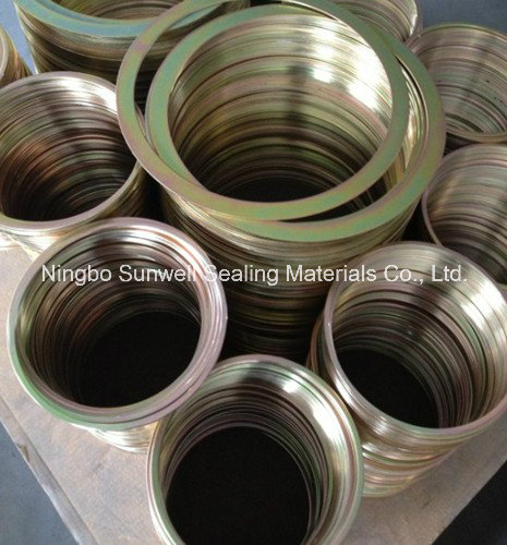 Inner and Outer Ring Gaskets Spiral Wound Gaskets