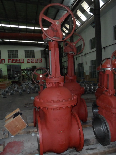 Dn200 Pn64 Wcb Worm Operated Gate Valve