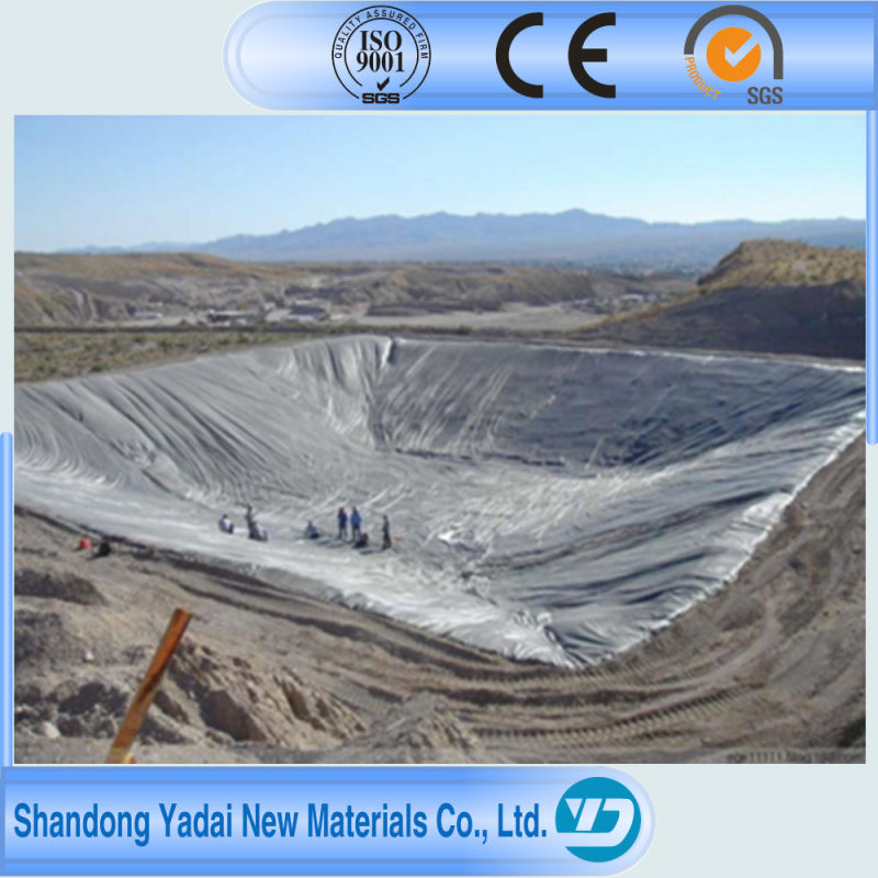 Agriculture Plastic Material Transparent Geosynthetics HDPE Geomembrane