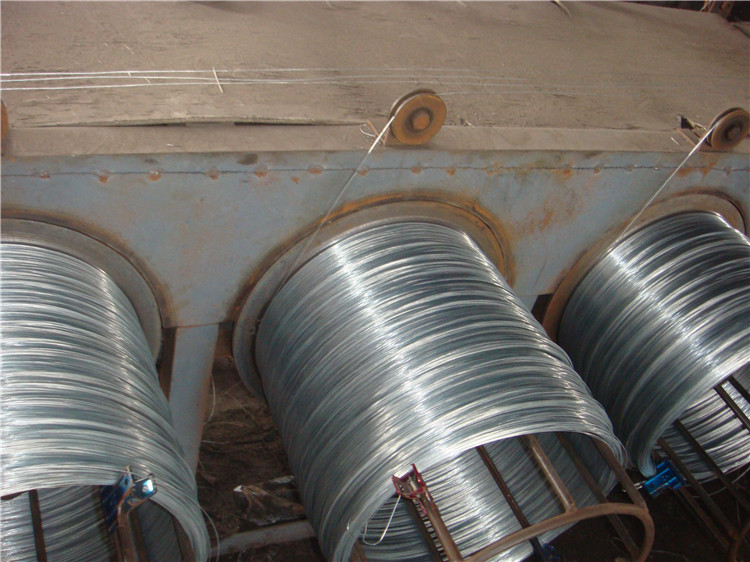 Galvanized Iron Wire