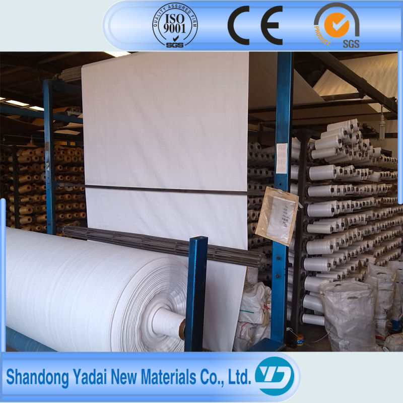 PP Pet Woven Nonwoven Needle Punched Geotextile