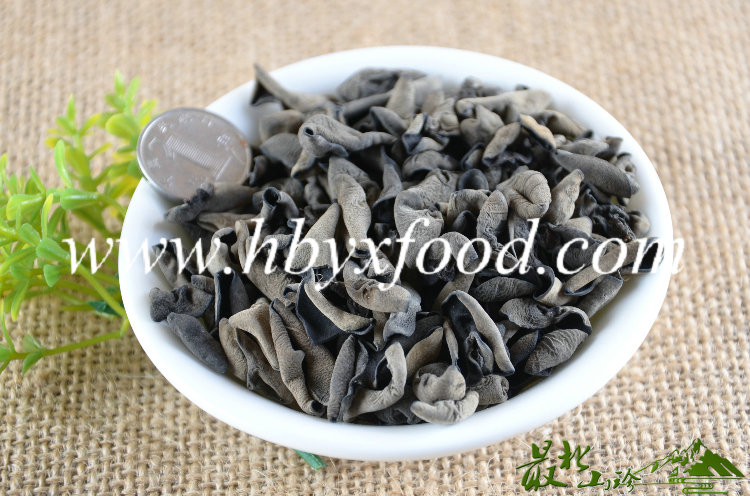 Dried Black Fungus From Yongxing Factory