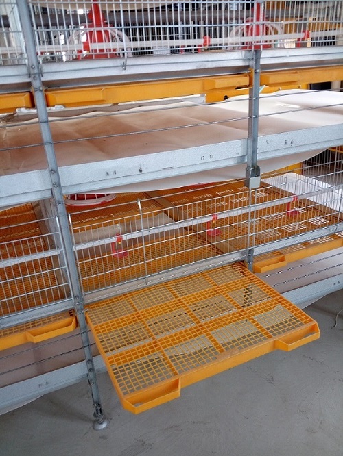 H Frame Broiler Cage