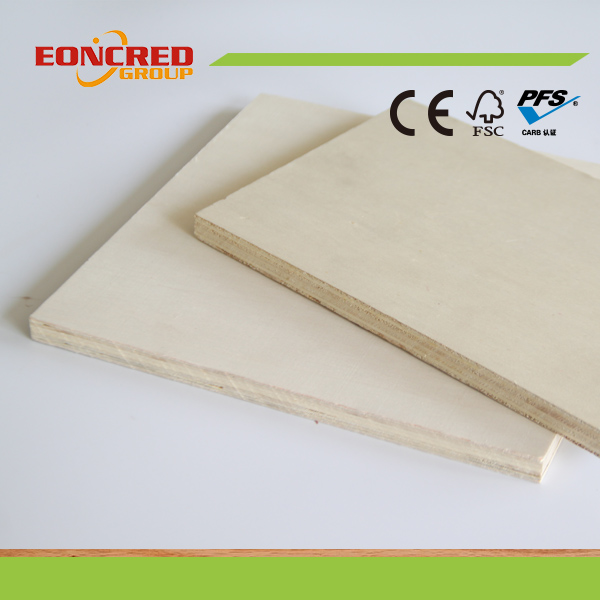 12mm 16mm 18mm Bleached Poplar Plywood