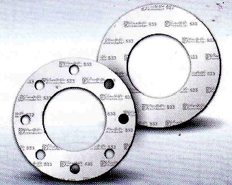 Modified PTFE Gasket