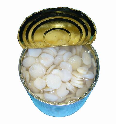 High Quality Canned Water Chestnut