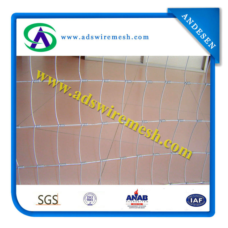 Field Fence/ Farm Fence (High quality and Factory price)