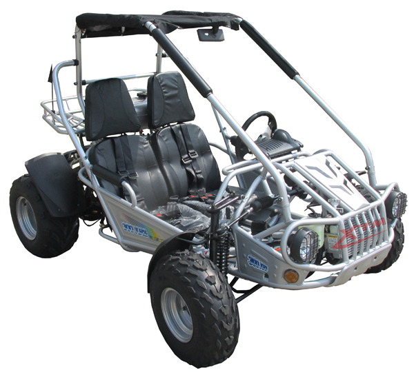 Chinese Adult 300cc Gas Pedal Go Kart