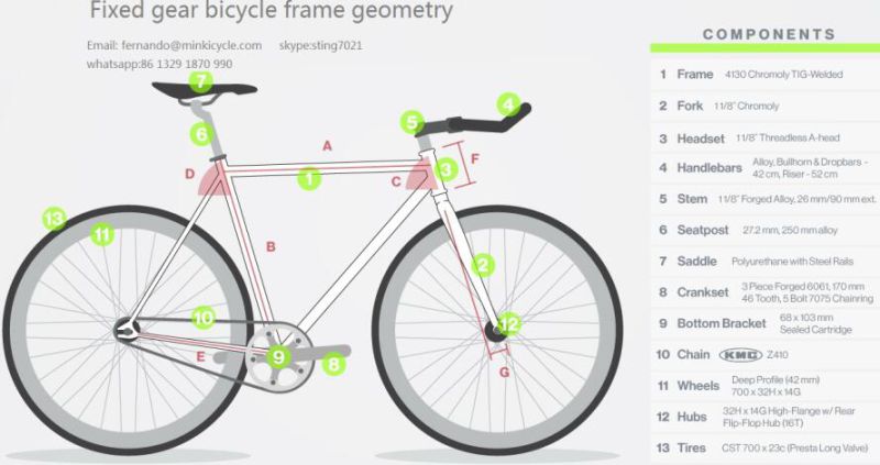 Cromoly Steel Fixed Gear Bicycle (Cog and Freewheel Included)