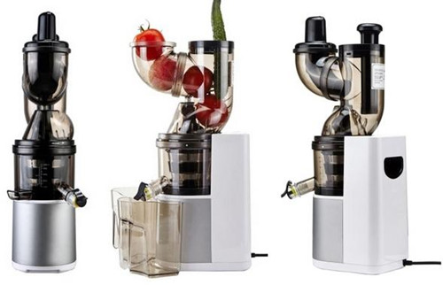 Slow Juicer/Apple Juicer/High Quality Juicer