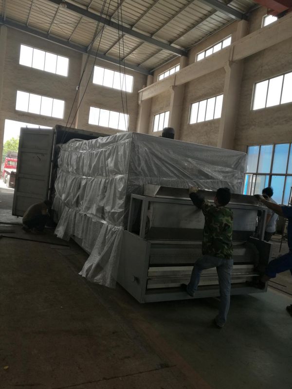 Vegetable Drying Machine