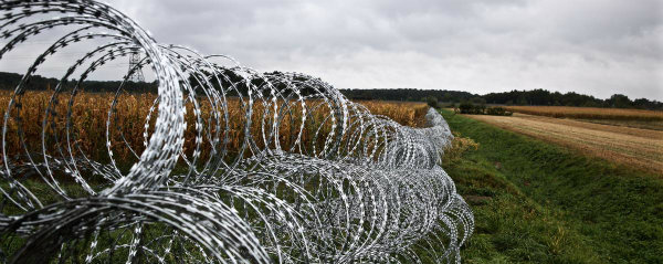 China Galvanized Concertina Razor Barbed Wire Bto 22