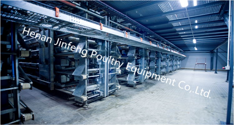 Drinker Poultry Feeder Chicken Egg Poultry Farm Equipment