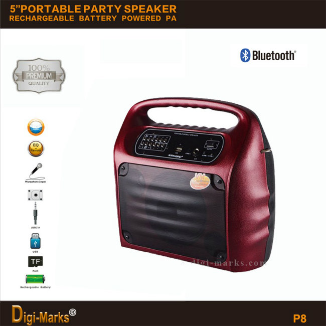 Best-Seller Portable Wireless LED Stage Stereo Radio FM Bluetooth Speaker