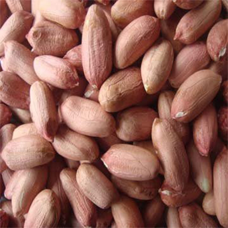 Round Type Peanut Kernel Pink Color