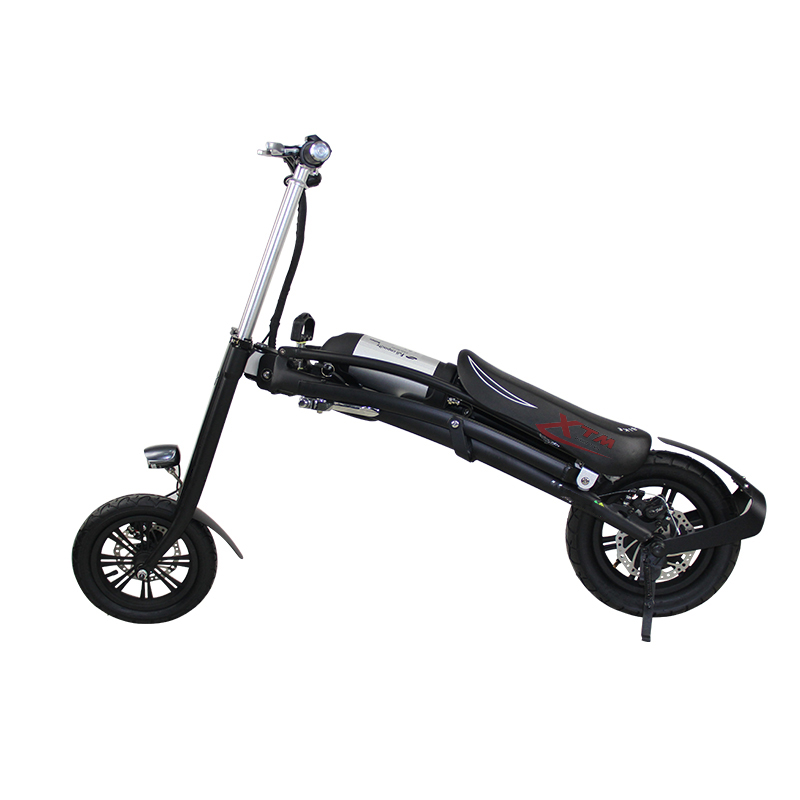 Mini Folding Bike 36V 250W/350W China Electric Bicycle