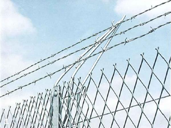 Hot Dipped Galvanized Electro Welded Iron Barbed Wire