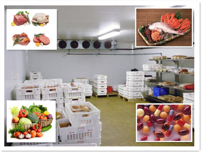 Food Standard Cold Room Cold Storage