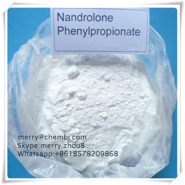 Npp Cheaper Steroid Raw Powder Nandrolone Phenylpropionate for Bodybuilder