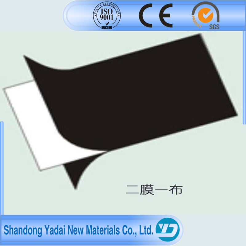 Ce Approved Compound Geomembrane Fabric for Sale Membrane