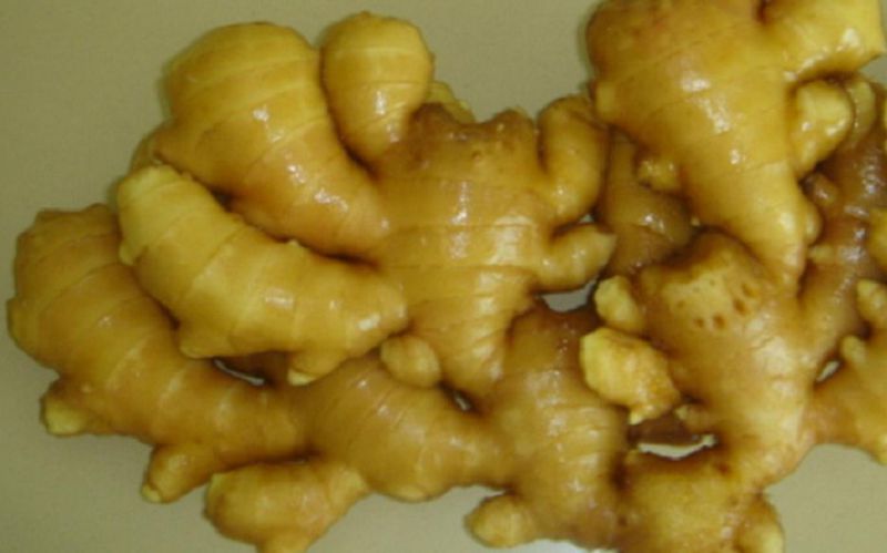New Crop Chinese Fresh Ginger with High Quaulity