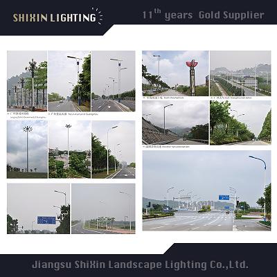 30W- 230W IP66 LED Street Light with Ce Certification