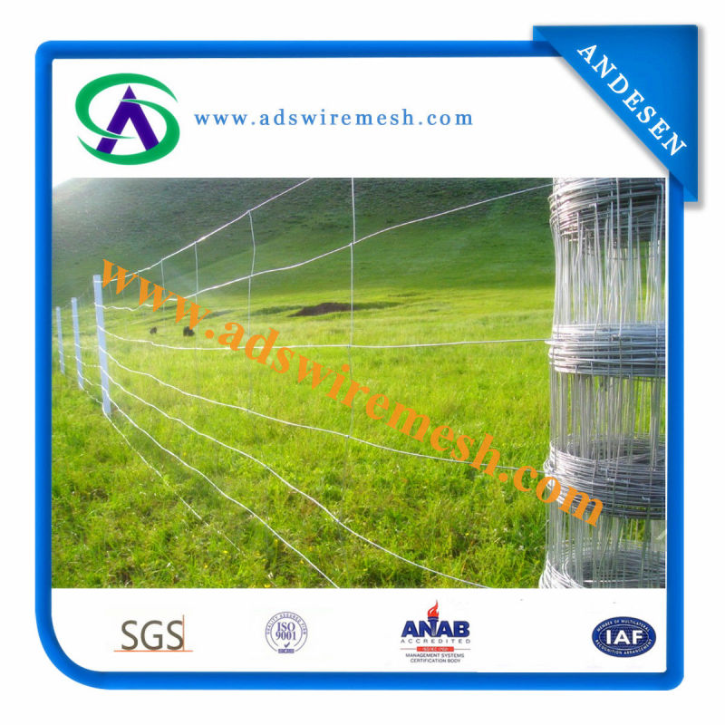 Field Fence/ Farm Fence (High quality and Factory price)