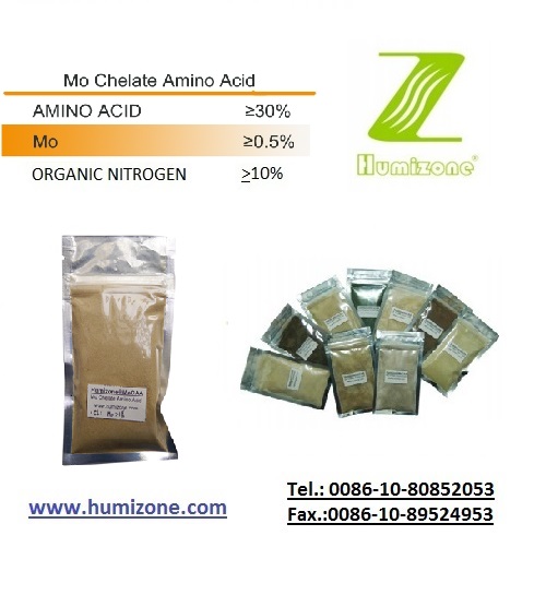 Humizone Mo Amino Acid Chelate (ACC-Mo-P)