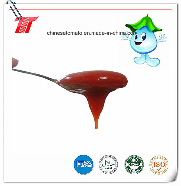 340g Tomato Ketchup with Plastic Bottle Paching